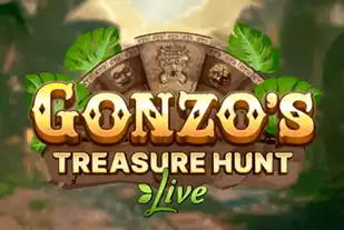 Gonzo's Treasure Hunt